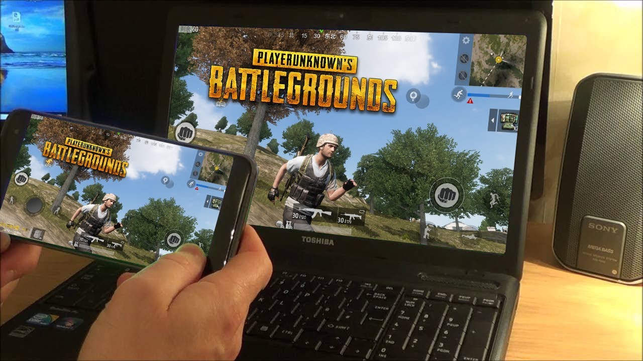 pubg licence for pc